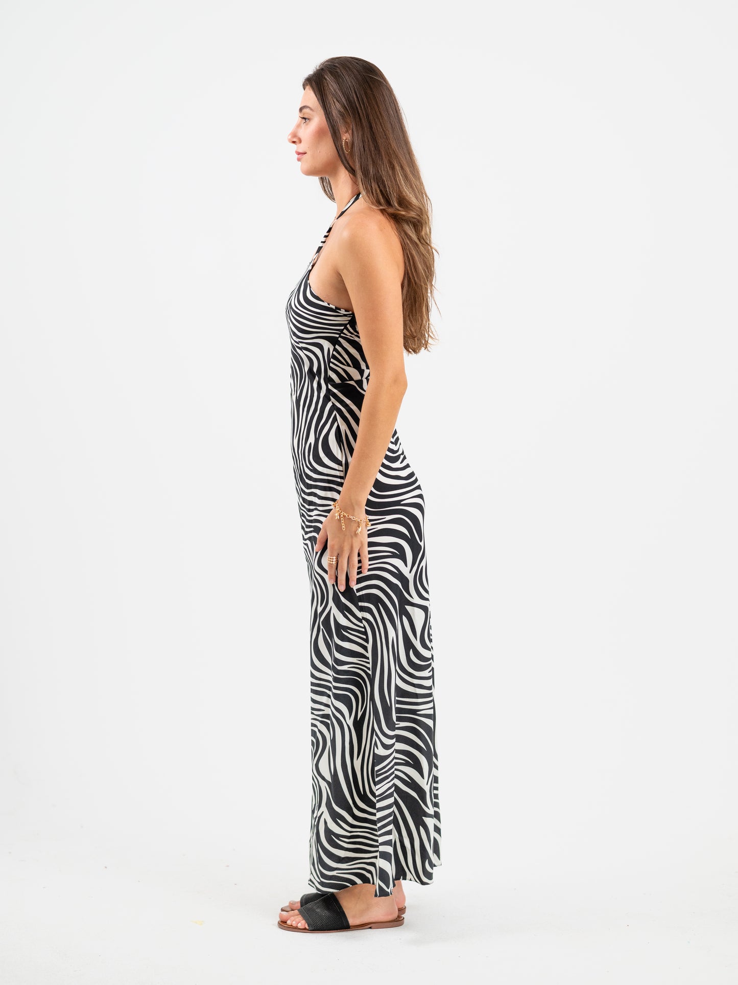 The Zebra Dress