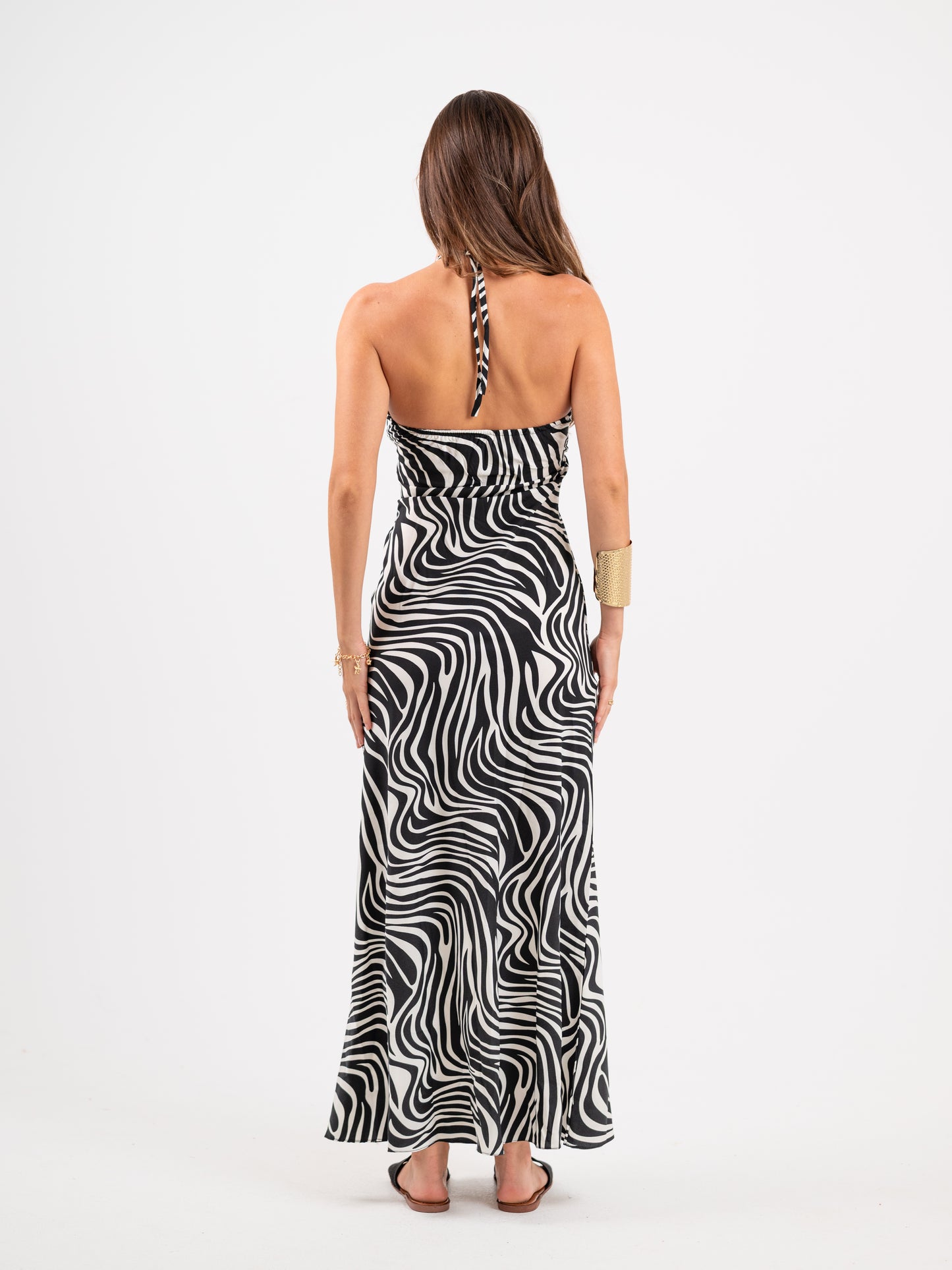 The Zebra Dress