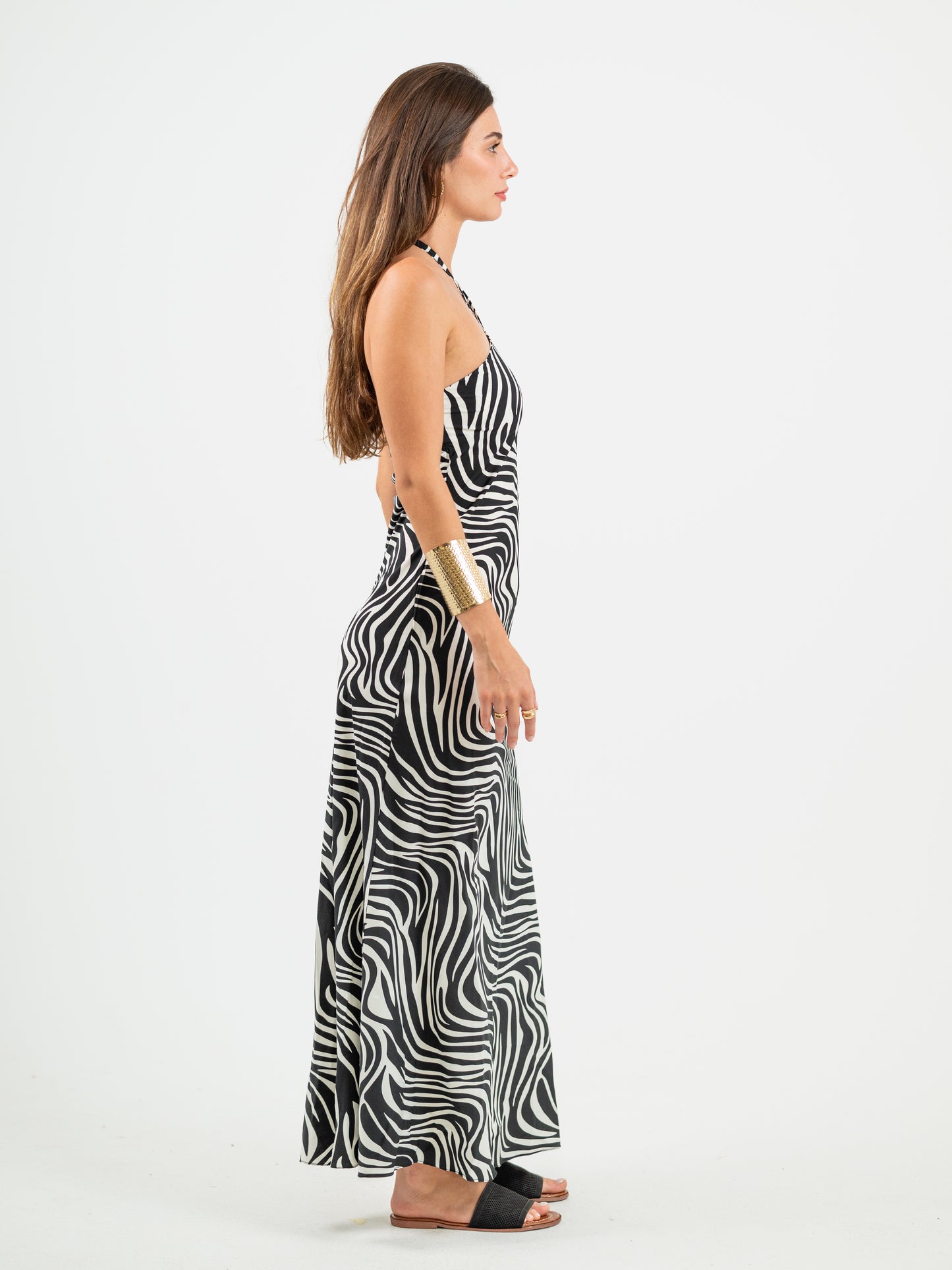 The Zebra Dress