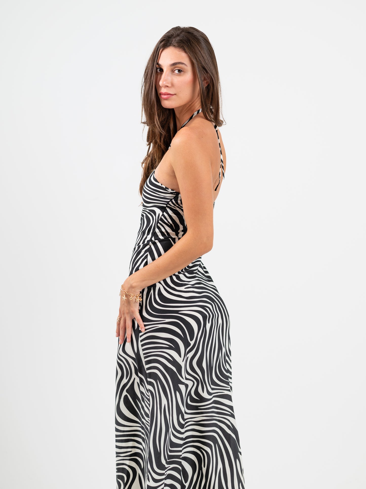 The Zebra Dress