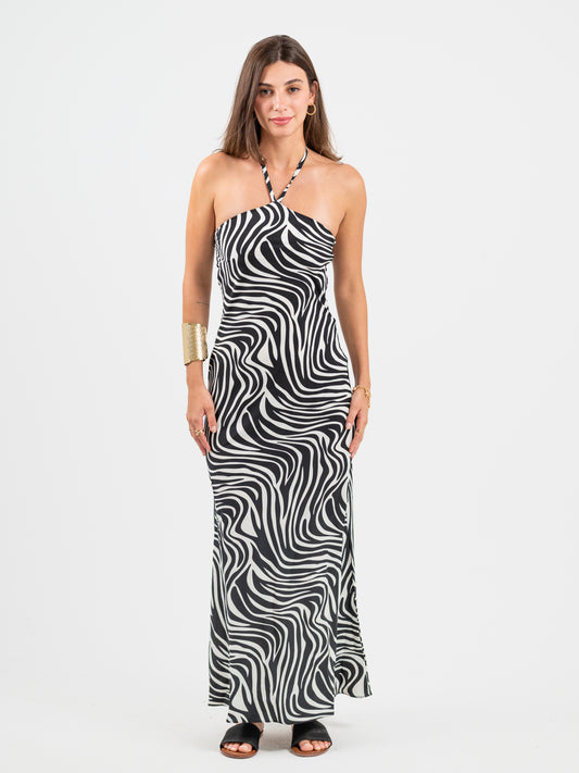 The Zebra Dress