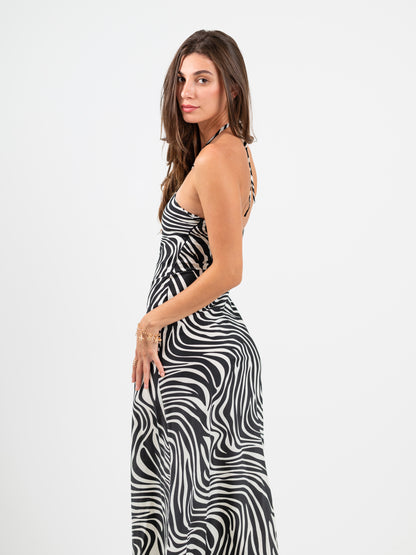 The Zebra Dress